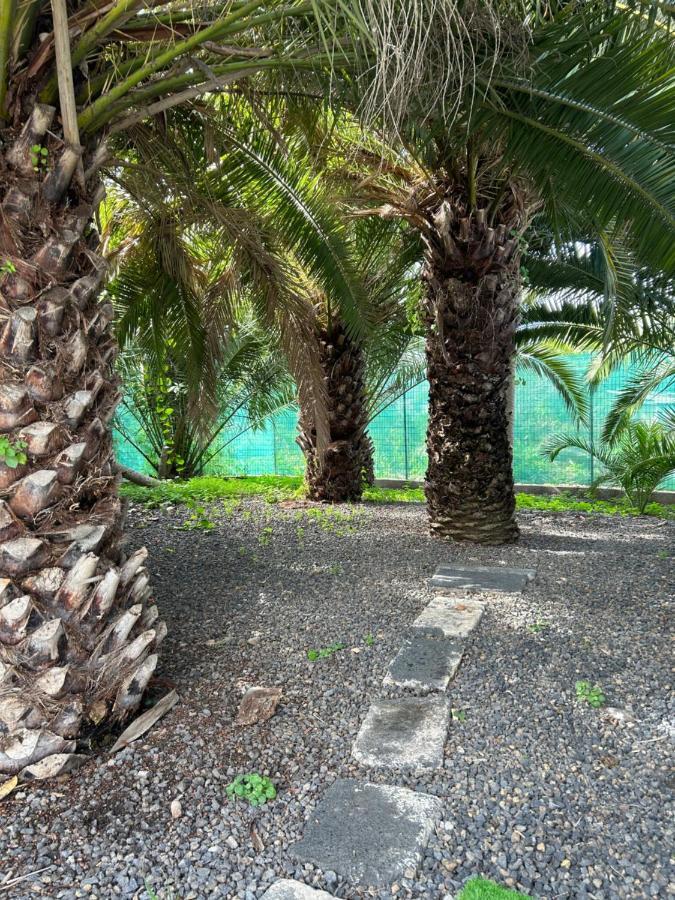 Casa Beatriz Βίλα La Orotava Εξωτερικό φωτογραφία